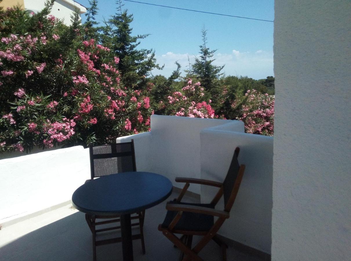 Apartments And Rooms Camelia Premantura Exterior foto